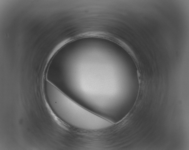 X0000081491050200701121107