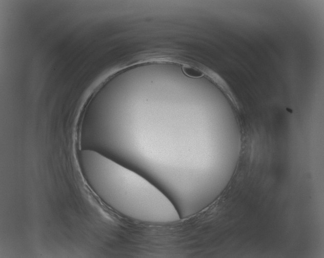 X0000081491051200701121107