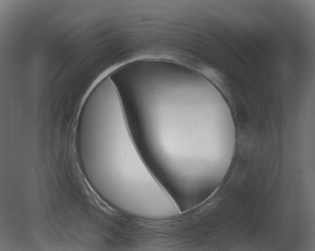 X0000081491052200701121107