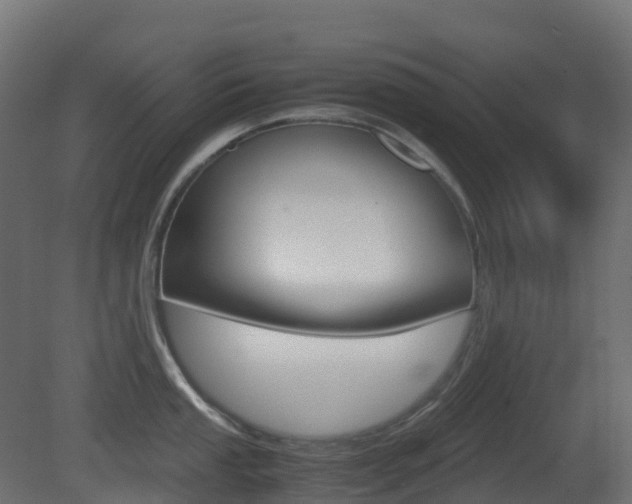 X0000081491053200701121107