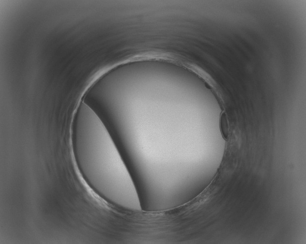 X0000081491055200701121107