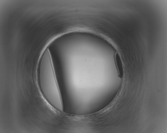 X0000081491056200701121107