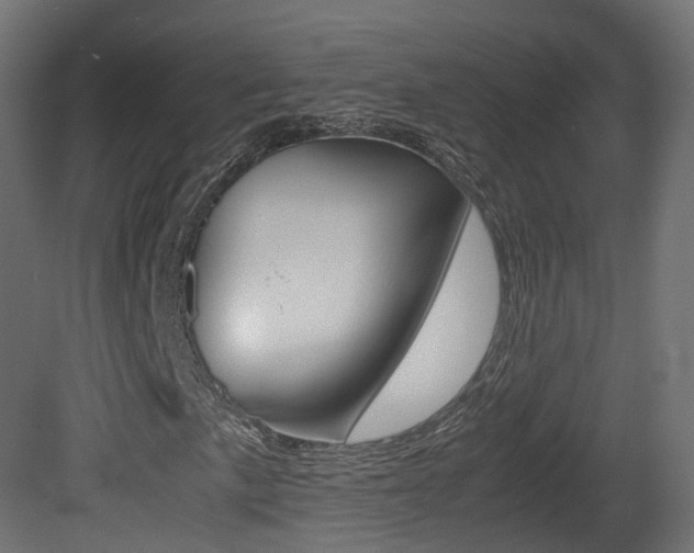 X0000081491057200701121106