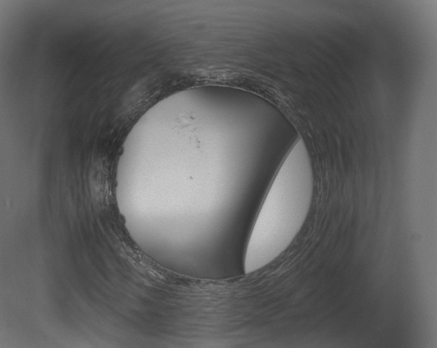 X0000081491058200701121106