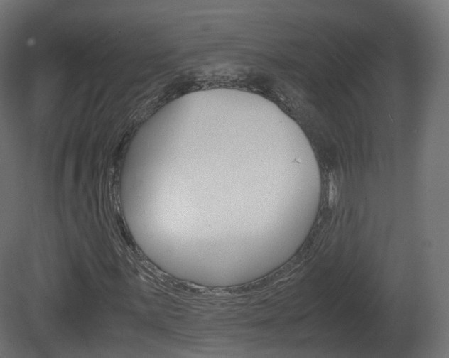 X0000081491059200701121106