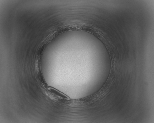 X0000081491060200701121106