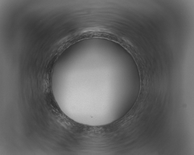 X0000081491062200701121106