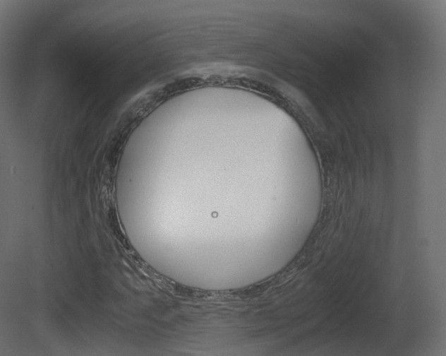 X0000081491063200701121106