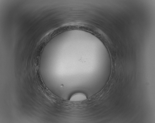 X0000081491064200701121106