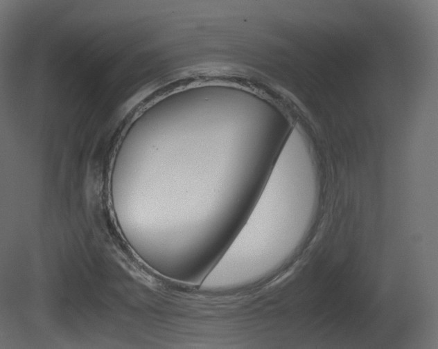 X0000081491065200701121106