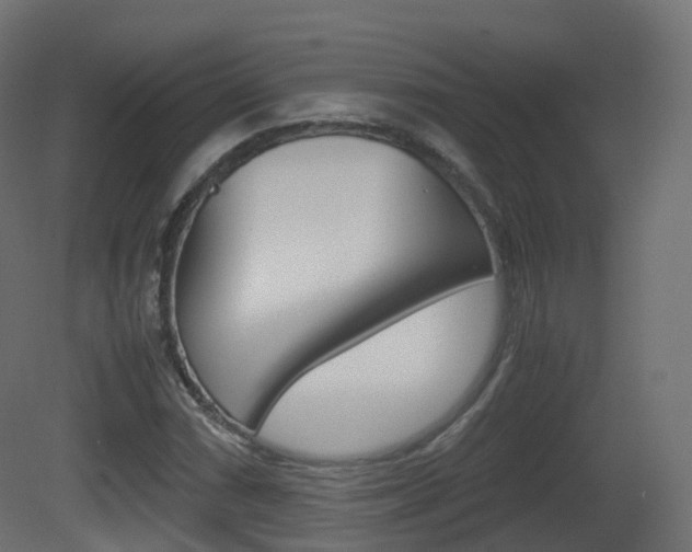 X0000081491066200701121106