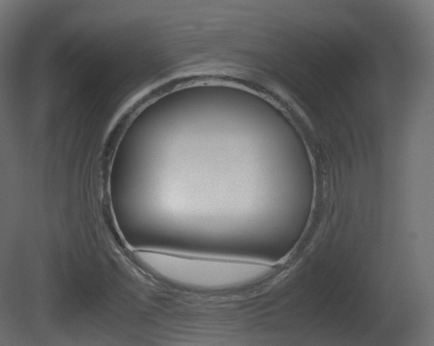 X0000081491069200701121106