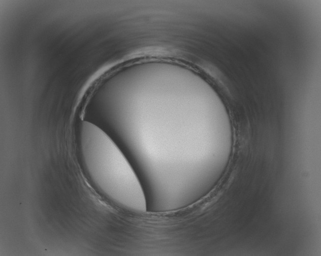 X0000081491070200701121106