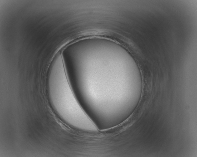 X0000081491073200701121106