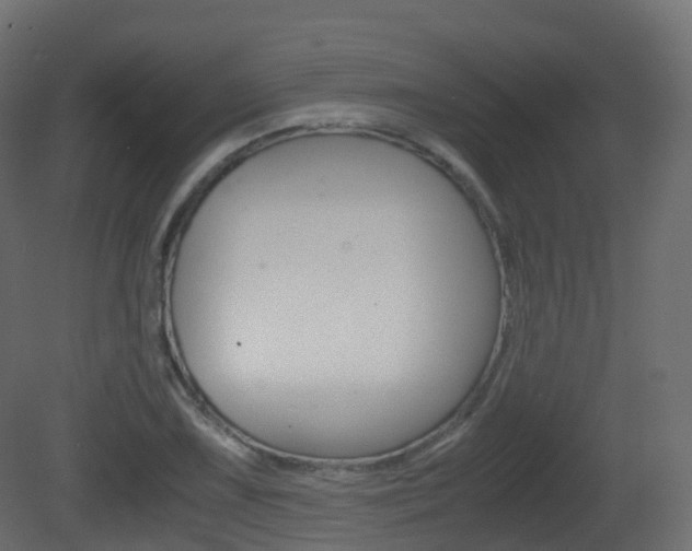 X0000081491075200701121106