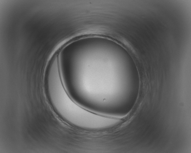 X0000081491077200701121106