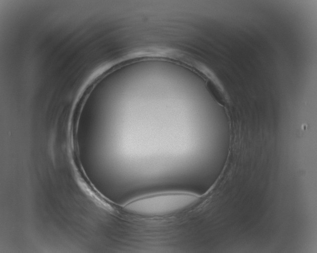 X0000081491080200701121106