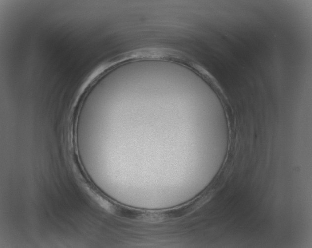 X0000081491083200701121106