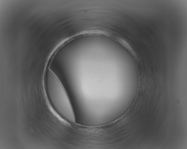 X0000081491084200701121106