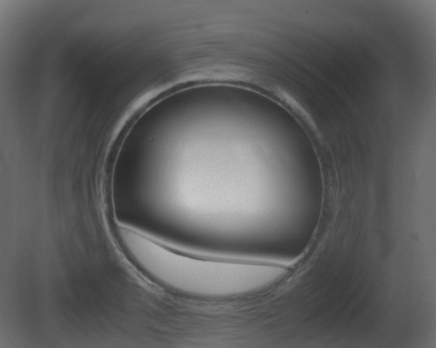 X0000081491085200701121106