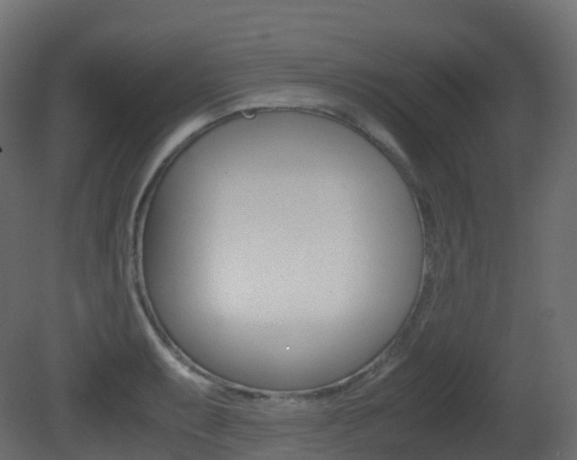 X0000081491087200701121106