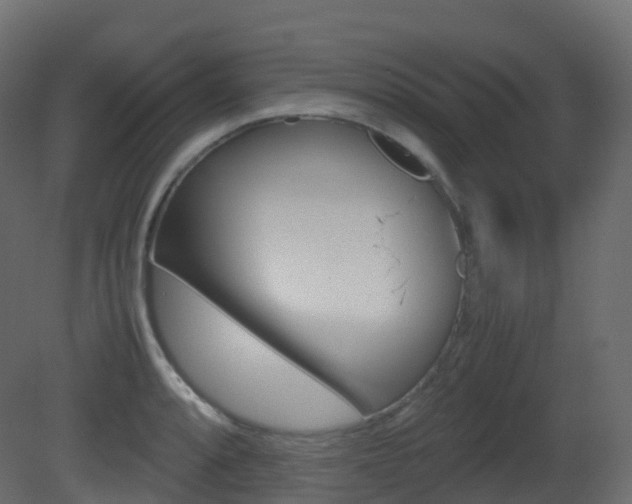 X0000081491088200701121106