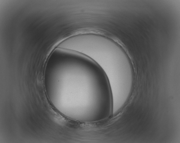X0000081491089200701121106