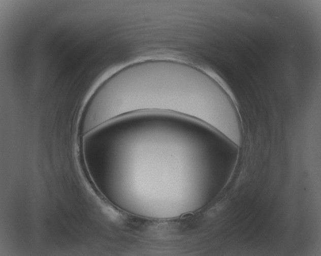 X0000081491093200701121106