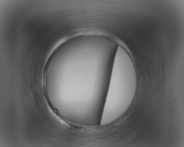 X0000081491095200701121106