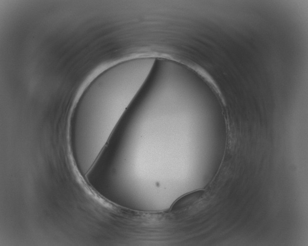 X0000081491096200701121106