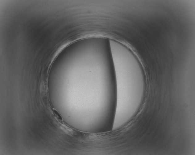 X0000081491097200701121106