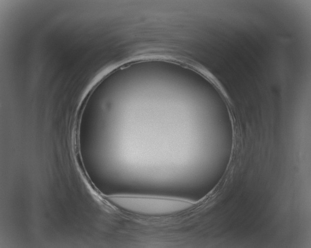 X0000081491101200701121106
