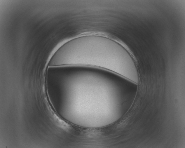 X0000081491102200701121106