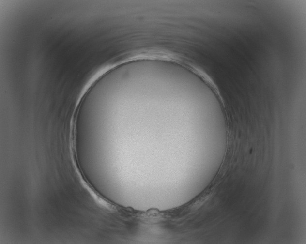 X0000081491103200701121106