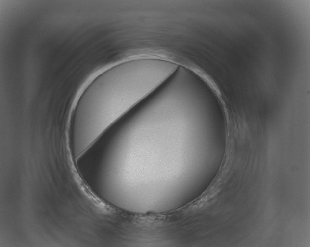 X0000081491104200701121105