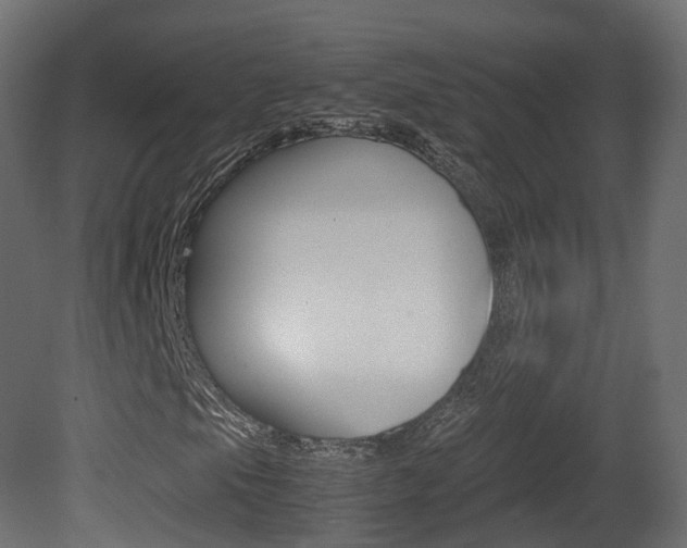 X0000081491105200701121105