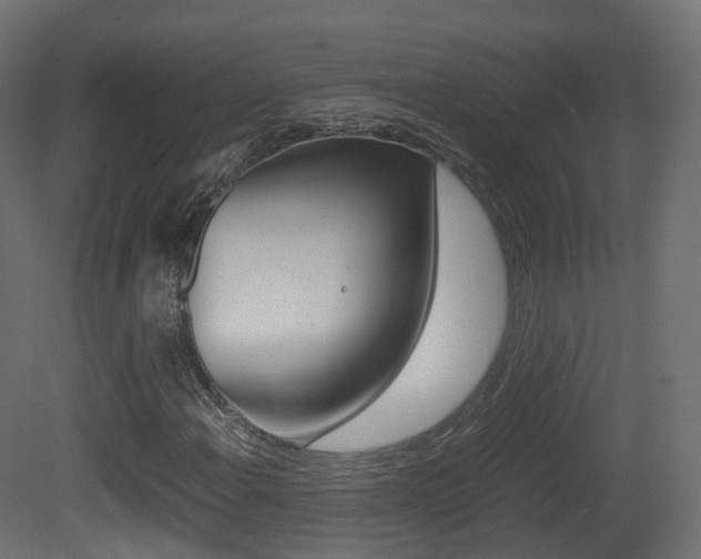 X0000081491108200701121105