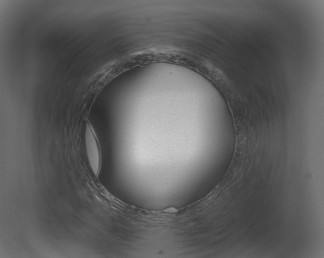 X0000081491110200701121105