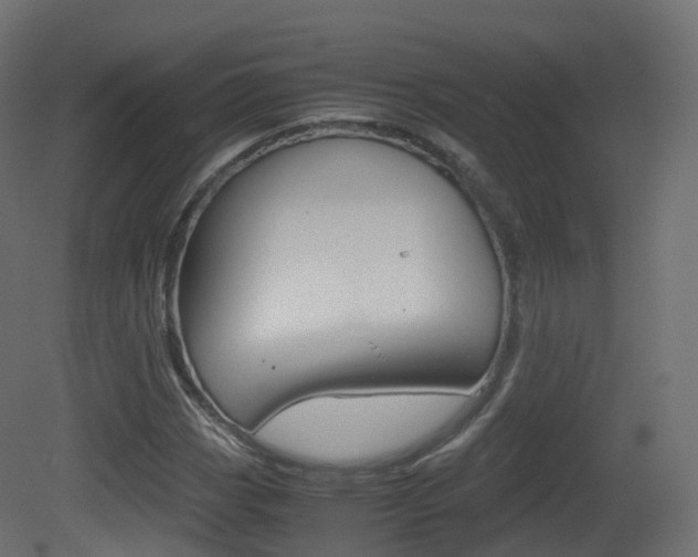 X0000081491113200701121105