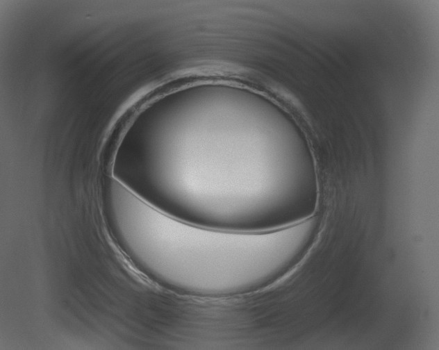 X0000081491114200701121105