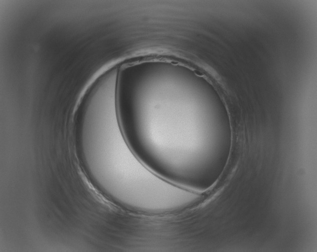 X0000081491118200701121105