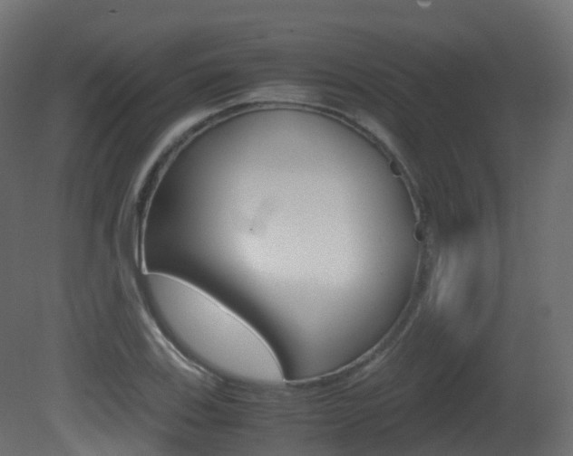 X0000081491123200701121105