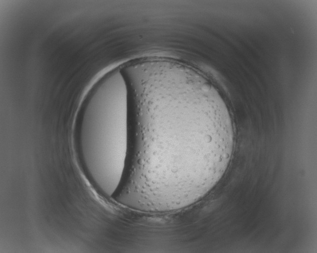 X0000081491125200701121105