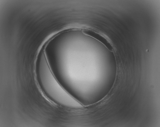 X0000081491128200701121105