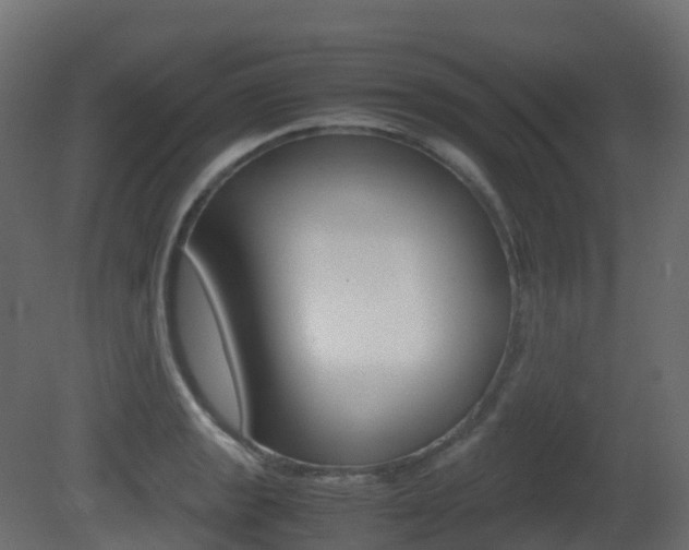 X0000081491133200701121105