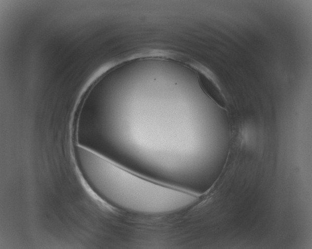 X0000081491135200701121105