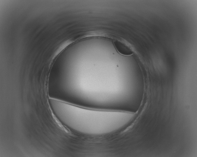 X0000081491137200701121105