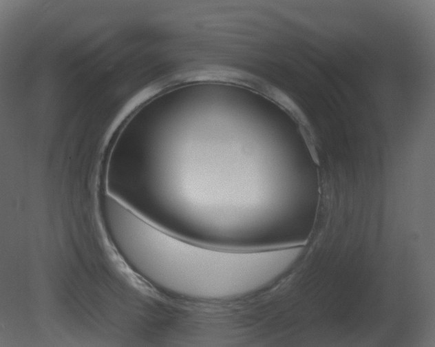 X0000081491138200701121105