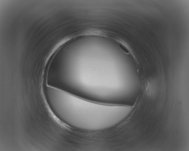 X0000081491139200701121105