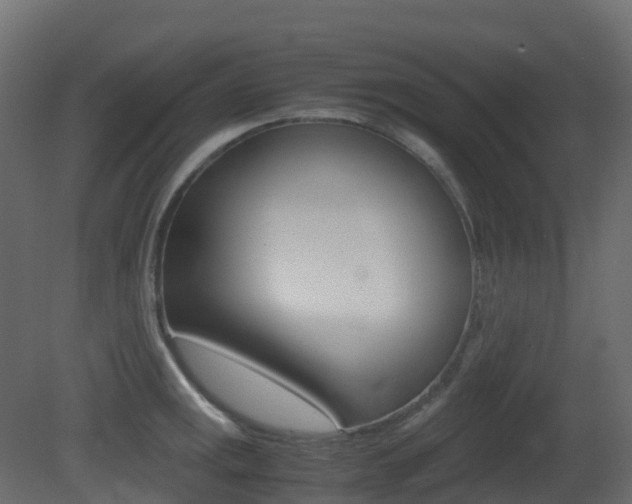 X0000081491141200701121105